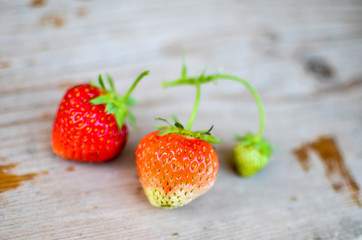 Strawberries on the wood backgrounds