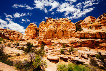Fototapeta premium The Hickman Bridge Trail, Capital Reef National Park, Utah, USA