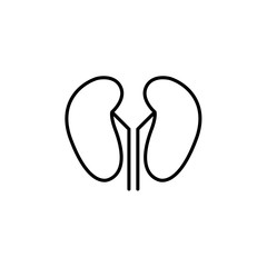 Vector kidney icon