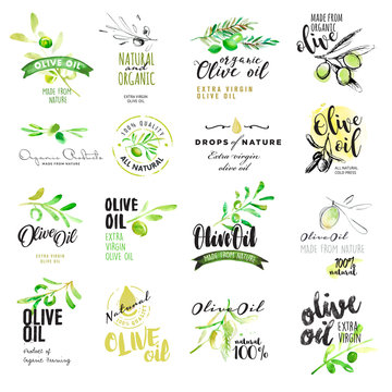 Set of hand drawn watercolor labels and elements of olive oil. Vector illustrations for olive oil labels, packaging design, natural products, restaurant