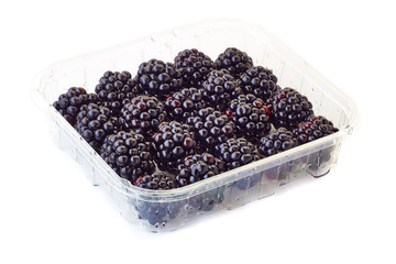 punnet of blackberries on white