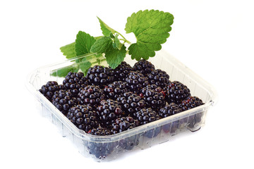 punnet of blackberries with mint branch on white