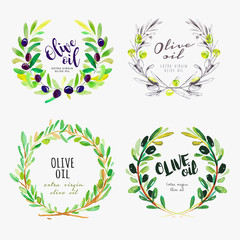 Hand drawn watercolor elements of olive oil. Set of vector illustrations for olive oil labels, packaging design, natural products, restaurant and menu.