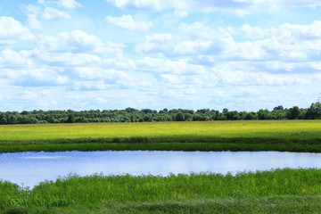 landscape with summer lake field and clouds