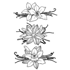 Graphic vanilla vignette