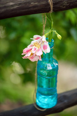 Alstroemeria flowers in a glass bottle hanging. Flower vase arrangements