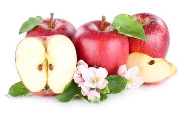 Apfel Äpfel rot Frucht Früchte geschnitten Hälfte Freisteller