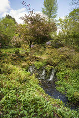 Fototapeta na wymiar Beautiful Summer landscape image of brook flowing over rocks in