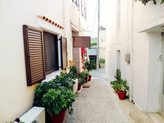 Fototapeta na wymiar traditional street among bougainvillaea in Greece