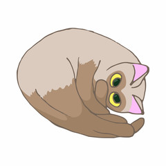 Cat icon, cartoon style