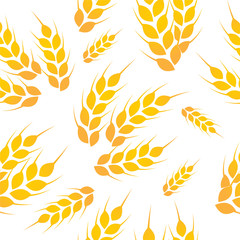 Wheat white-gold pattern vector