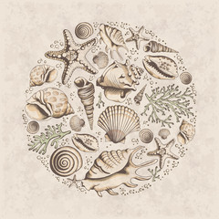 Vector vintage card with seashells, corals and starfishes