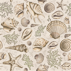 Seamless vintage pattern with seashells
