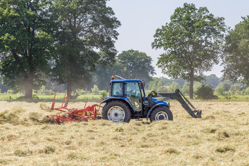 Hay turning to dry grass in the sun on the field in the Netherla