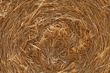 Round Hay bale background