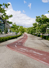Cycle city lane