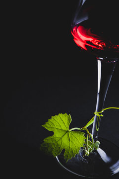 calice di vino rosso con tralcio di vite