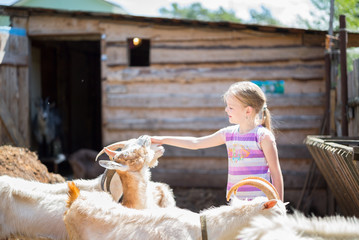 little girl with goat on the farm