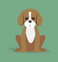cute dog design, vector illustration eps10 graphic 