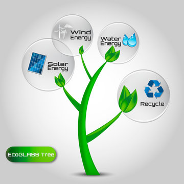 Ecology Concept Infographics