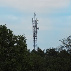 Telekommunikation Antenne im Waldgebiet