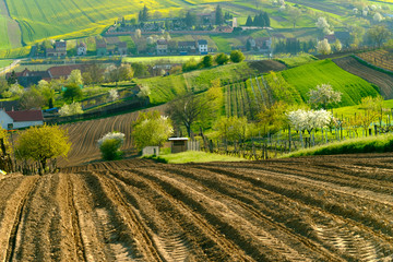 Fototapeta na wymiar Rural landscape in countryside in South Moravia