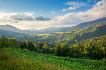 Fototapeta na wymiar Beautiful Mountain Valley in summer
