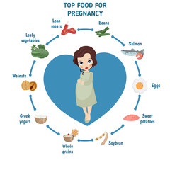 Pregnant woman diet infographic