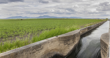 irrigation canal flows over the fertile meadows of High Guadiana