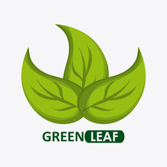 Green design. leaf icon. White background, graphic vector