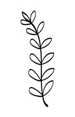 Leaf icon. Eco and green design. vector graphic