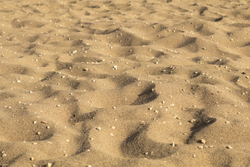 Sand dunes with pebbles, low angle.