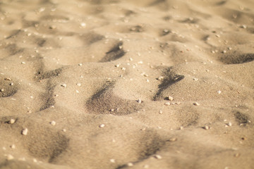 Sand dunes with pebbles, low angle.