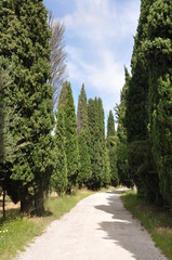 S&uuml;d-Toskana bei Pienza