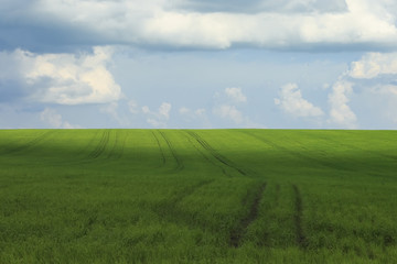 natural background with blue sky with clouds and green grass