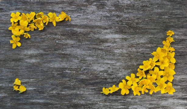 Frame of yellow flowers on a wood background with space for text