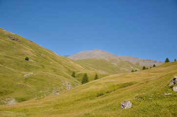 Fototapeta na wymiar Alpage des Fonds (Cervières / Hautes-Alpes)