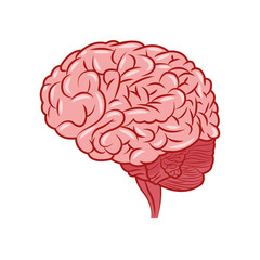 Brain design. organ icon. Flat illustration, vector graphic