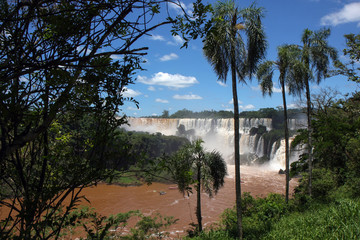 Iguazu falls
