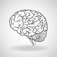 Brain design. organ icon. Flat illustration, vector graphic