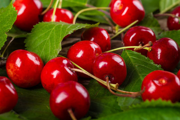 Fresh sweet cherries on green leaves
