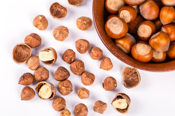 fresh hazelnuts photo illustration
