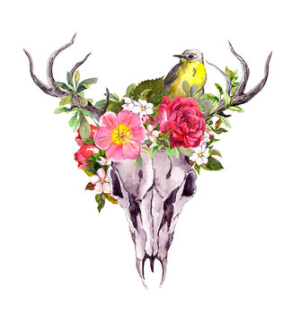 Deer animal skull with flowers and bird. Watercolor
