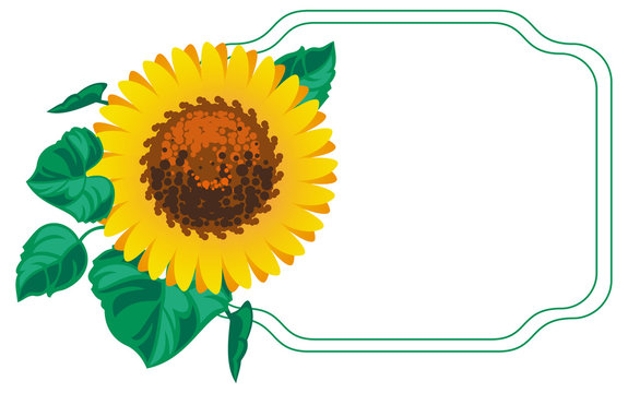 Horizontal frame with sunflowers. Vector clip art.