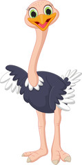 cute ostrich cartoon