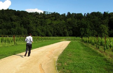 fuga dal matrimonio