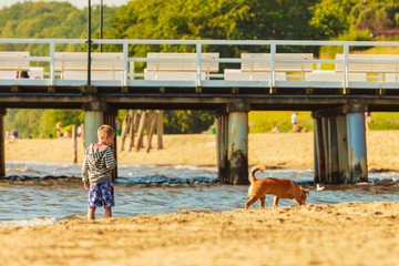 Lovely dog playing outdoor alone.
