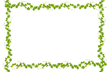 Green leaves  frame isolated on white background ,copy space for