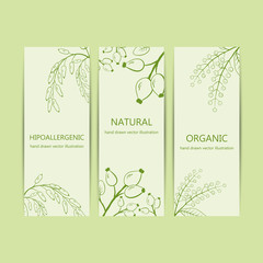 Collection herbal banner with bird cherry, rose hip, barberries.