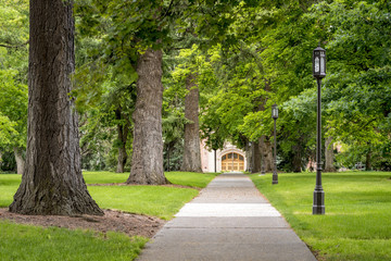 Park sidewalk lead through some trees